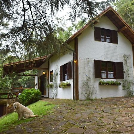 Chalet Da Hortensias Βίλα Cunha Εξωτερικό φωτογραφία
