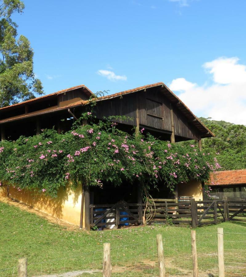 Chalet Da Hortensias Βίλα Cunha Εξωτερικό φωτογραφία