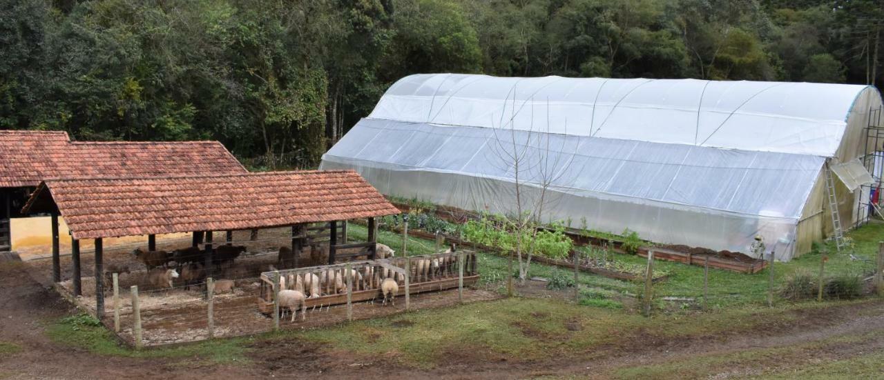 Chalet Da Hortensias Βίλα Cunha Εξωτερικό φωτογραφία